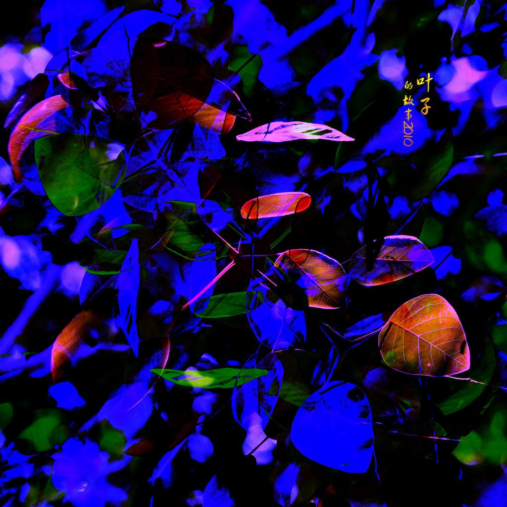 http://i.dcview.tw/gallery/201008/c078b903aa8f0e6c2af131ef84b2ad51.jpg