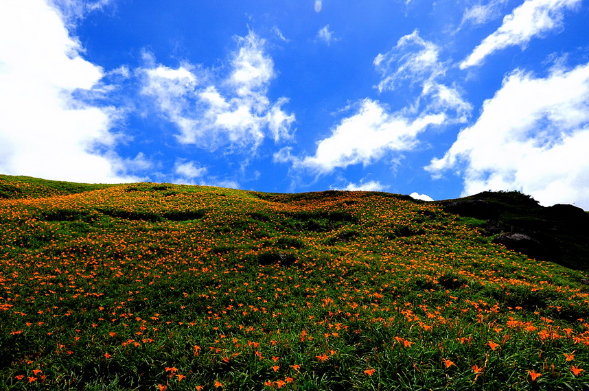 http://i.dcview.tw/gallery/201008/c0d232368aac80389a3797e572a23f17.jpg