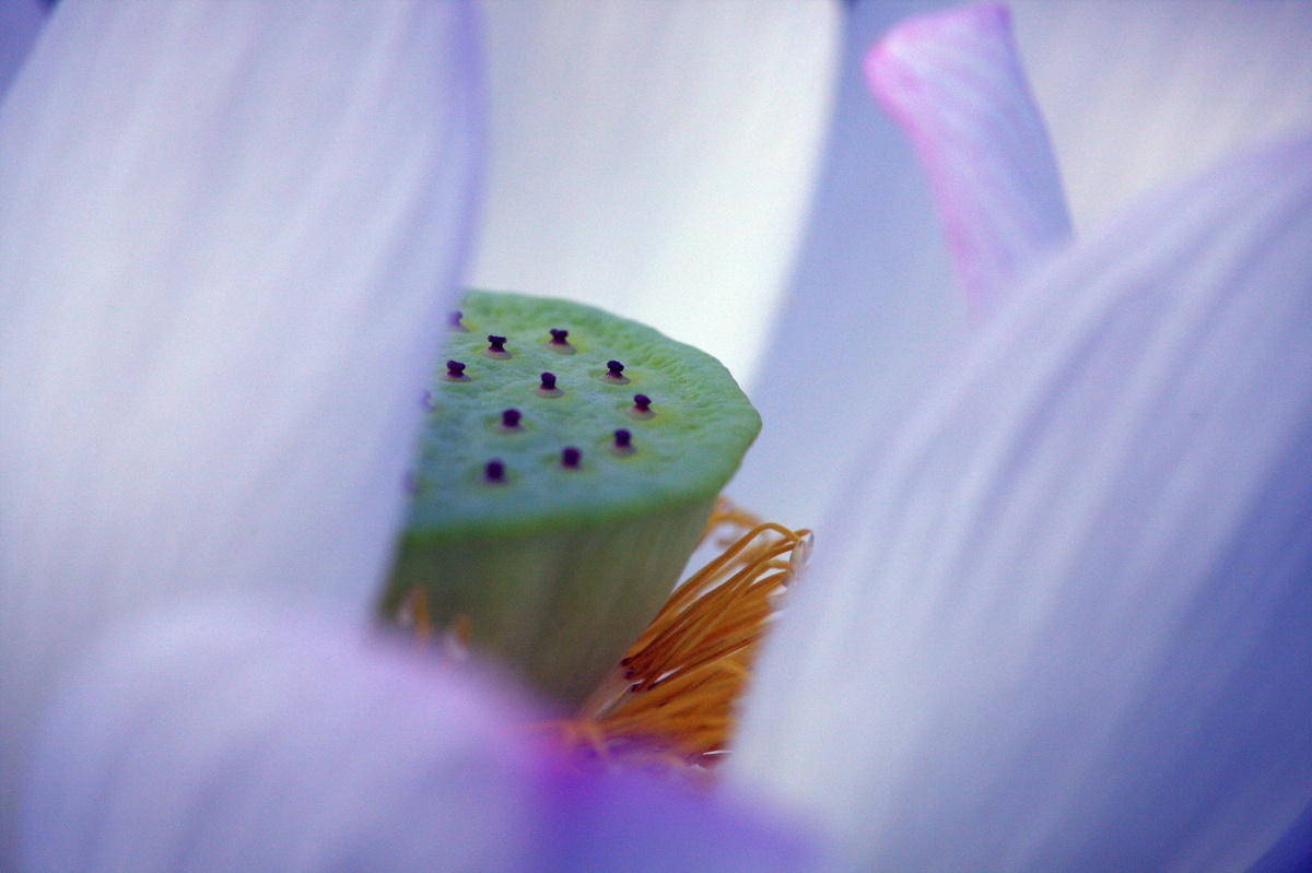 http://i.dcview.tw/gallery/201008/c69413f8691af69047e95017cf503755.jpg