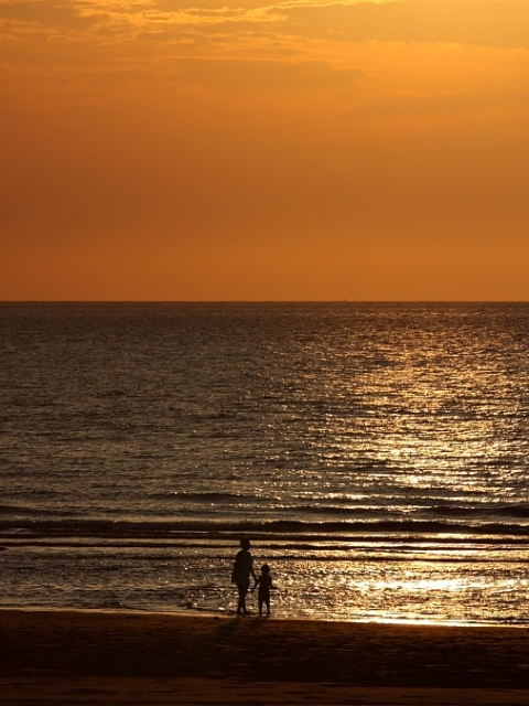 http://i.dcview.tw/gallery/201008/d15209fd97d7798421d70f52ae1fe36e.jpg