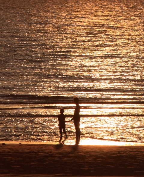 http://i.dcview.tw/gallery/201008/d19f2fe38059dedd9c0e64186d25ee50.jpg