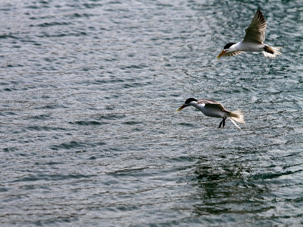 http://i.dcview.tw/gallery/201008/d445d7e1955ede48033b1db442e76fe1.jpg
