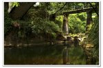 貧窮攝影-古橋、溪照