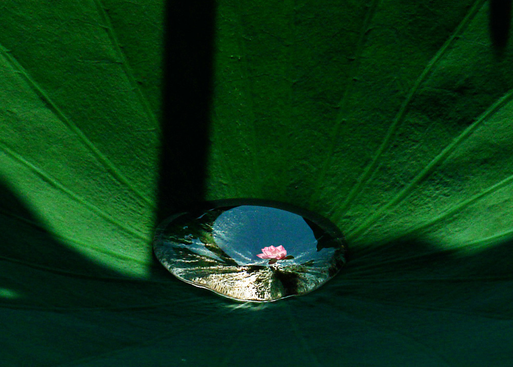http://i.dcview.tw/gallery/201008/d6dfbcfc3febf4ed80c481991b5fb012.jpg