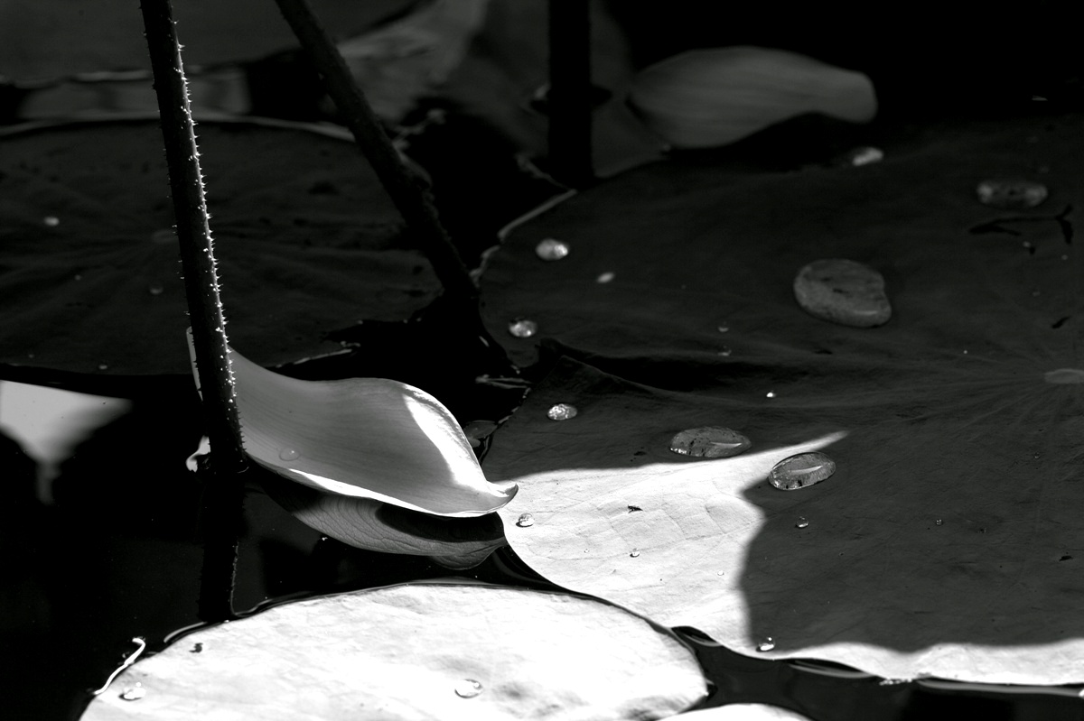 http://i.dcview.tw/gallery/201008/dfa0fd261d92e186bf09f431444e2a3a.jpg