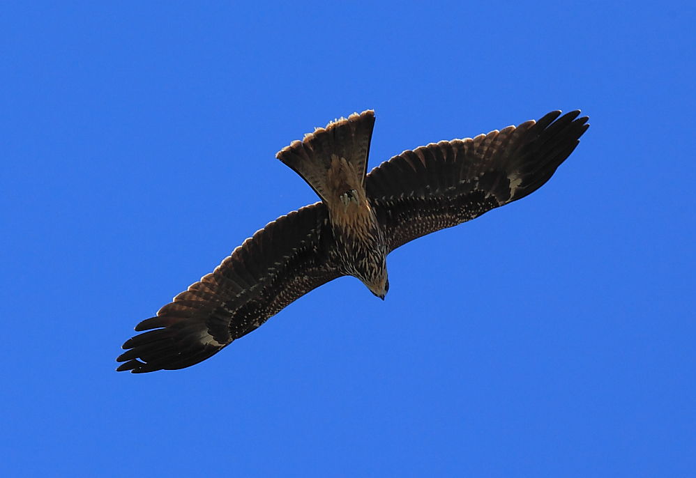 http://i.dcview.tw/gallery/201008/e1d18c3c51c0970866deb82729ec8c6a.jpg