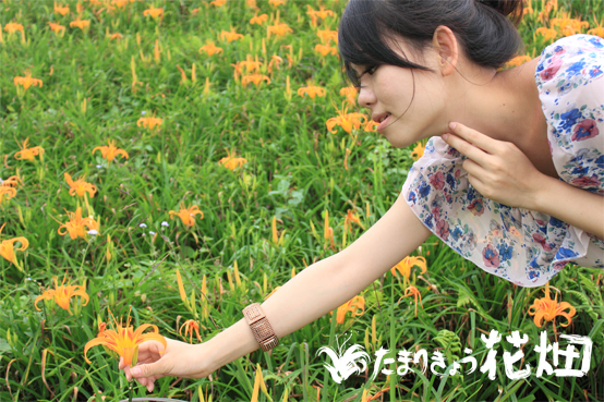 http://i.dcview.tw/gallery/201008/e2ebe71d003d415a5c111333bf942f6e.jpg