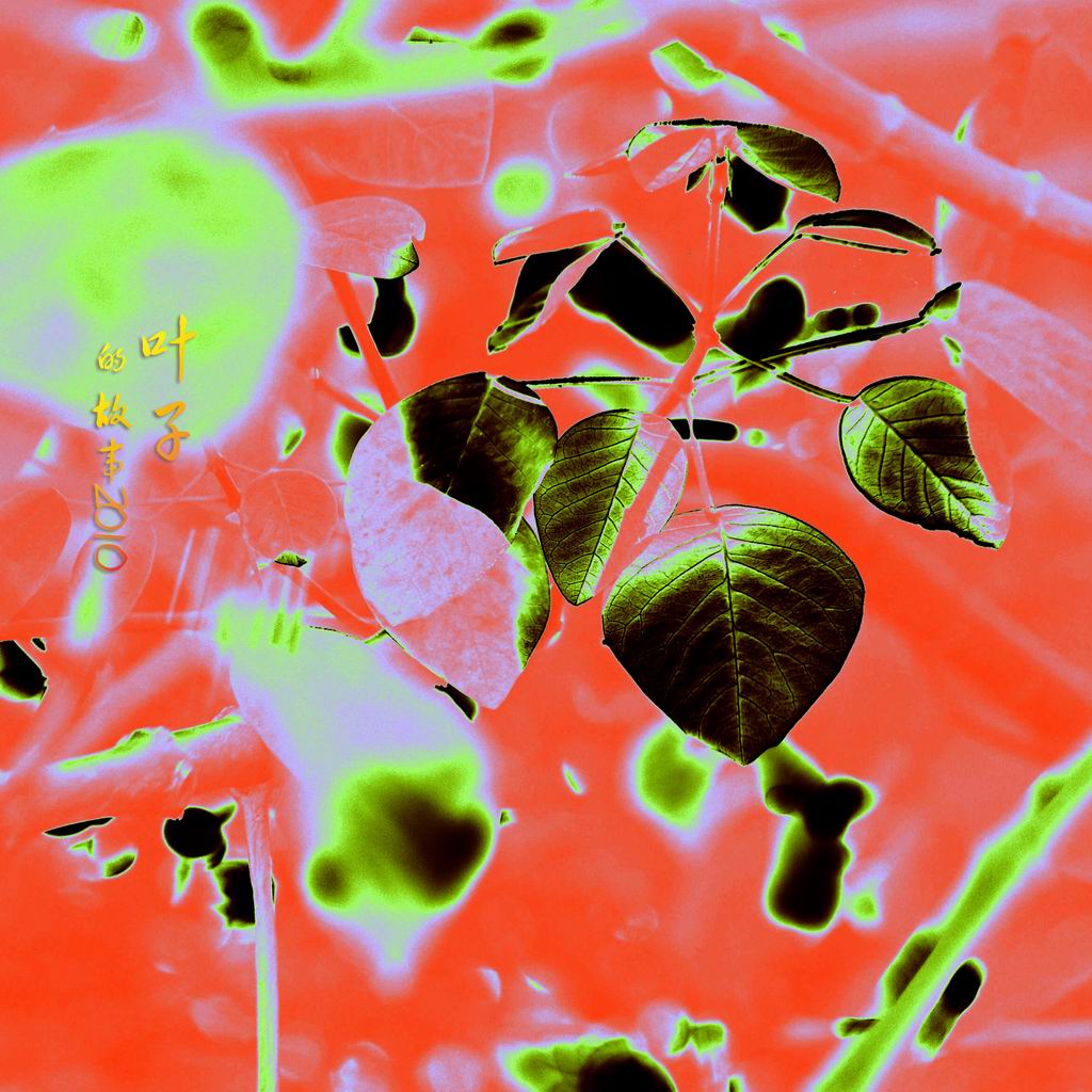 http://i.dcview.tw/gallery/201008/e593d0b48ef63245c5270cee2b196e4e.jpg