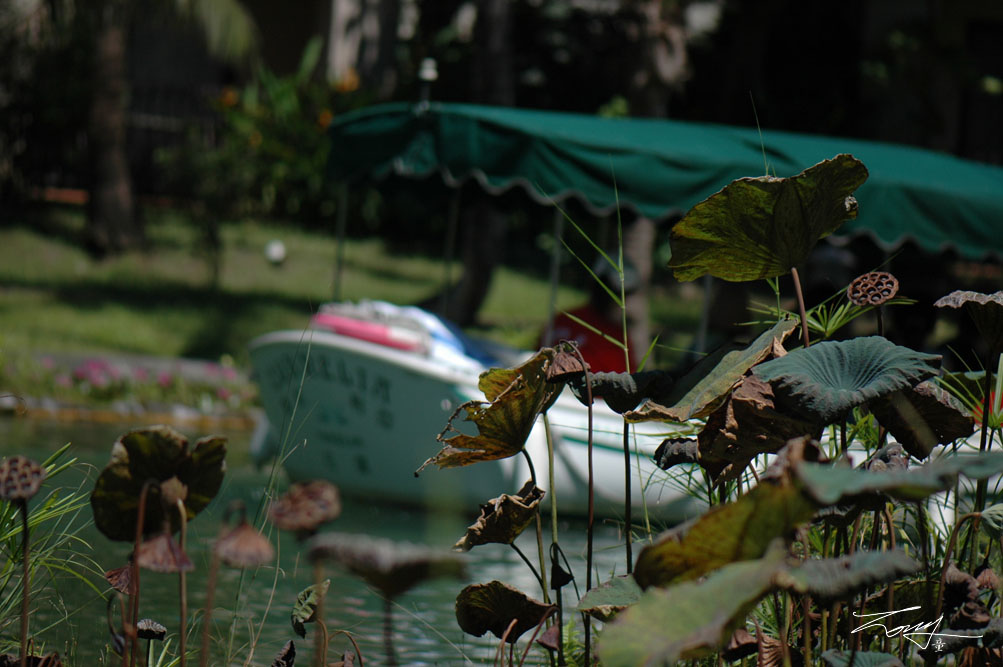 http://i.dcview.tw/gallery/201008/ebc9d60602412e82b1458a3c60e091da.jpg