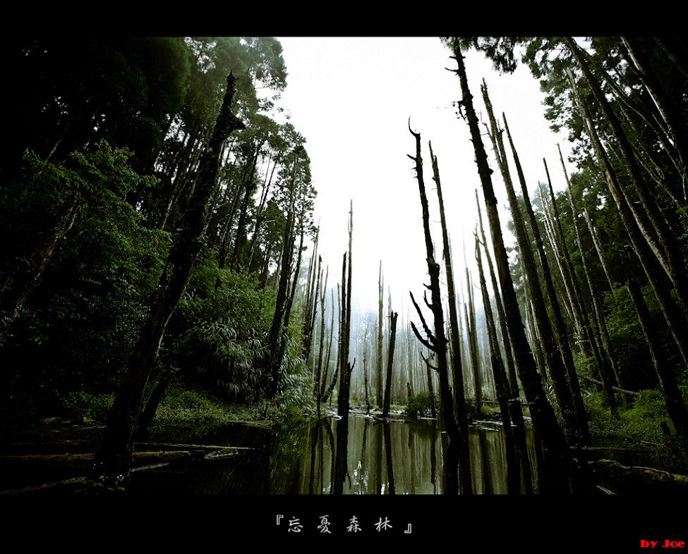 http://i.dcview.tw/gallery/201009/01d8aaf9c6a3b98c950178b83f71c465.jpg