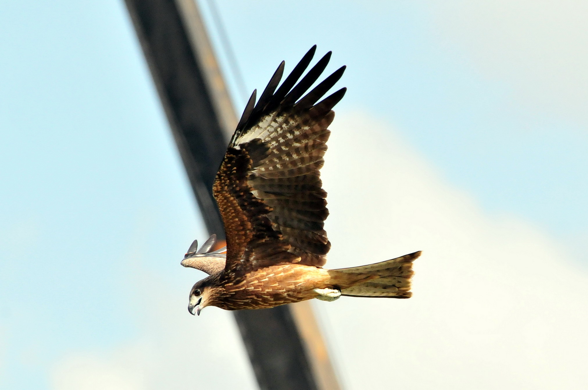 http://i.dcview.tw/gallery/201009/0854415b8ac6b25ecb280675f2d3eab2.jpg
