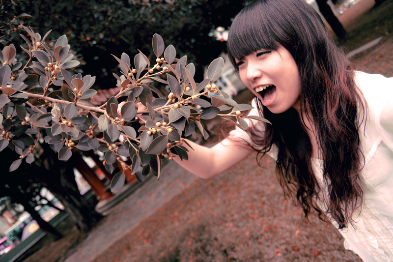 http://i.dcview.tw/gallery/201009/145f98f250a1c822a2385080d9dcb17e.jpg