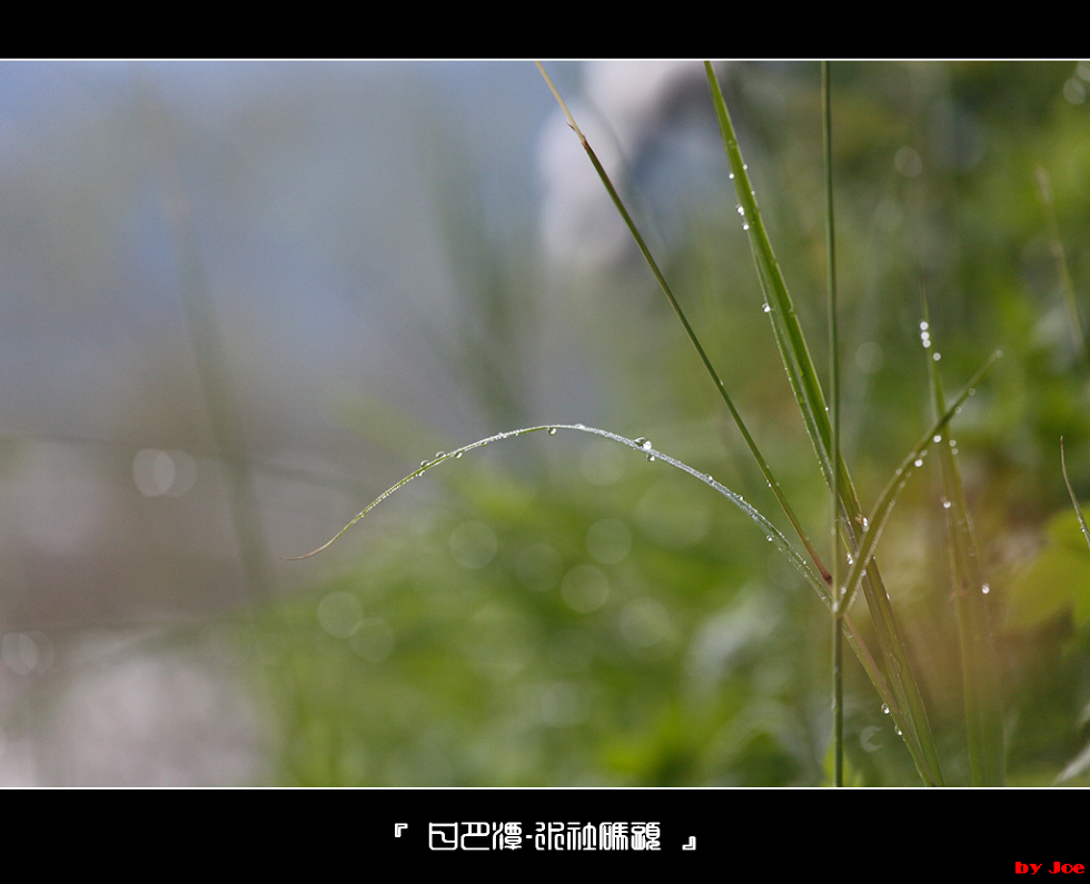 http://i.dcview.tw/gallery/201009/153abe7380983397b50876cd7cdc7164.jpg
