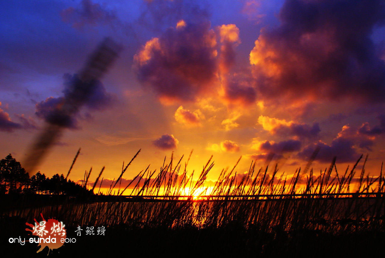 http://i.dcview.tw/gallery/201009/1b2417f82cca7b10ceb194a234802e79.jpg