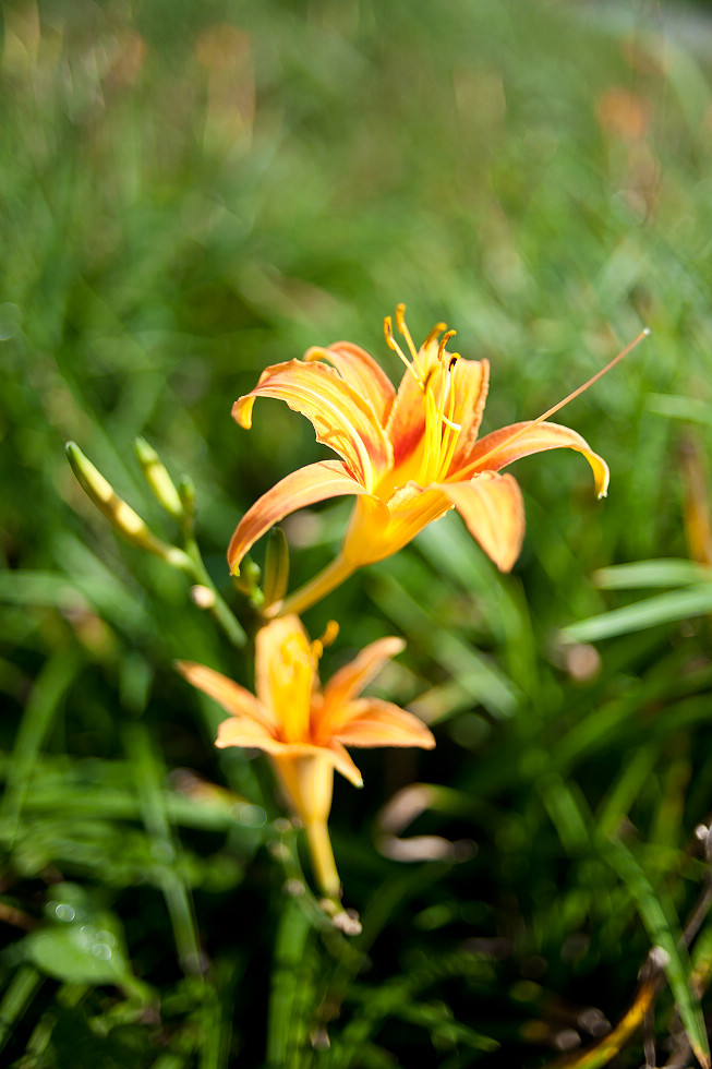 http://i.dcview.tw/gallery/201009/1ed731e3e73f2f9964d924c39e2e9e0c.jpg