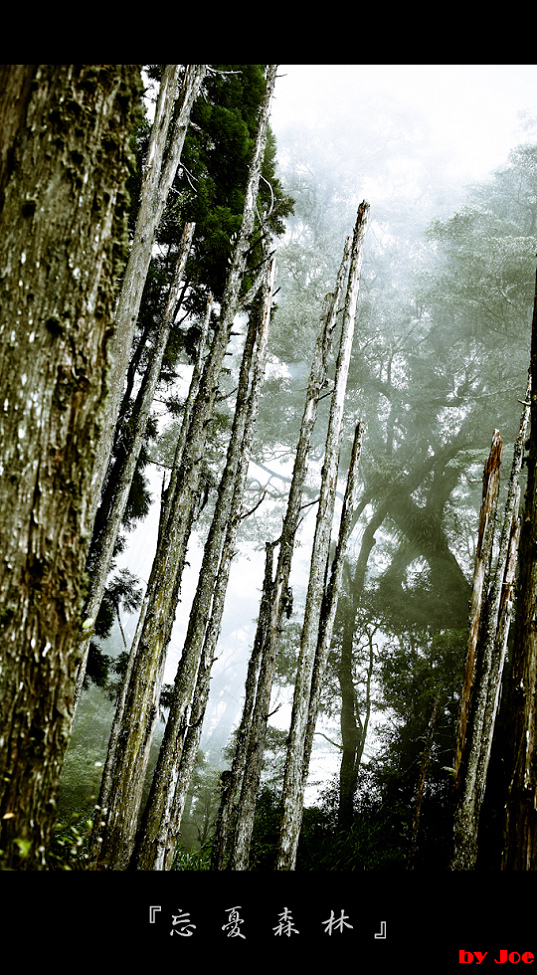 http://i.dcview.tw/gallery/201009/1fc23ee2933c793572bd509327ce3552.jpg