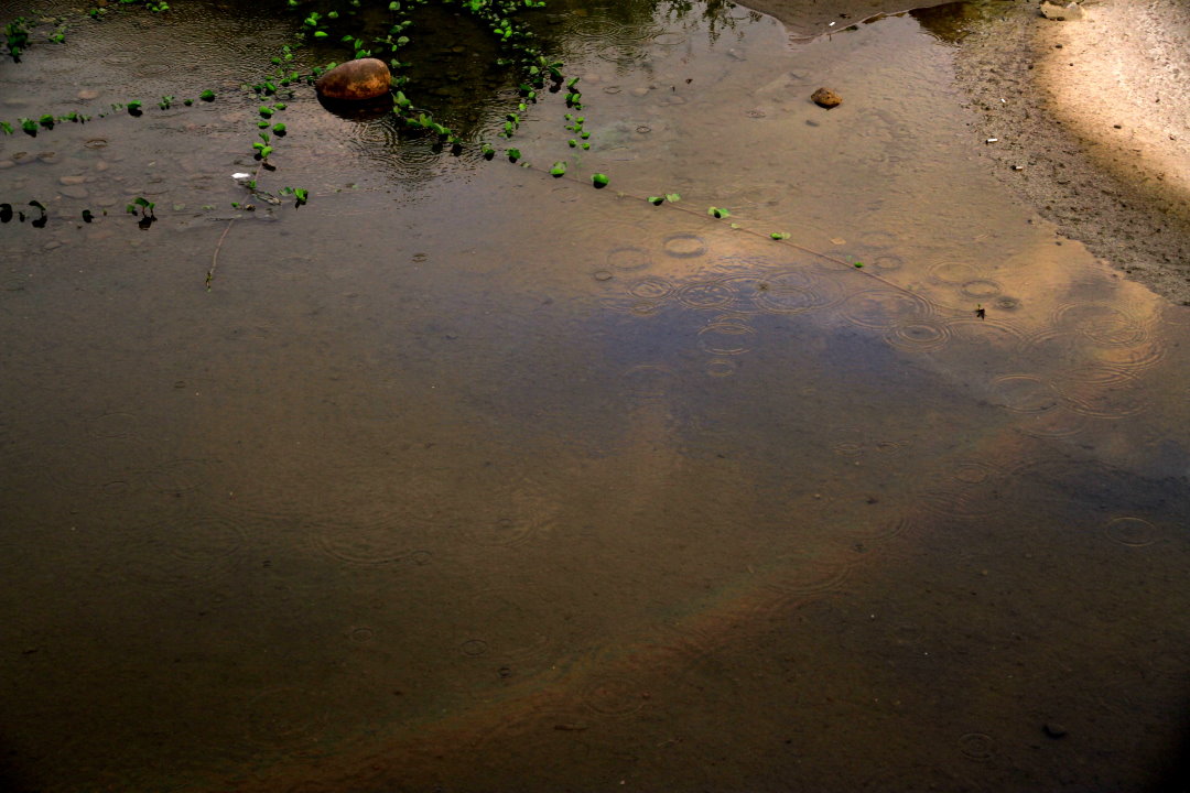 http://i.dcview.tw/gallery/201009/2878fd21b17c5054c91bdf6dcc28cf15.jpg