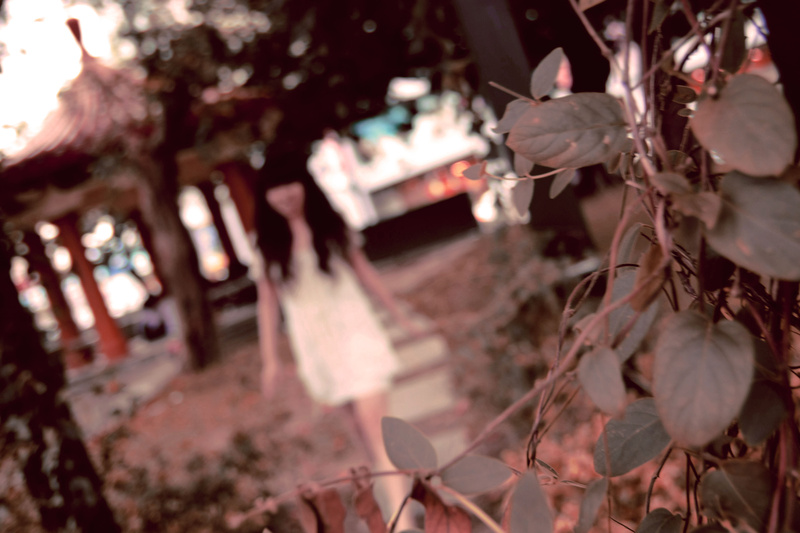 http://i.dcview.tw/gallery/201009/417ab4967bfd8cc20fa98685cabdd903.jpg