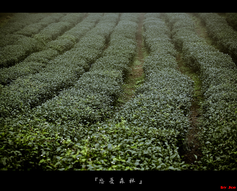 http://i.dcview.tw/gallery/201009/5425f74ad8ecc1a55e5499d3d7ca6ccf.jpg