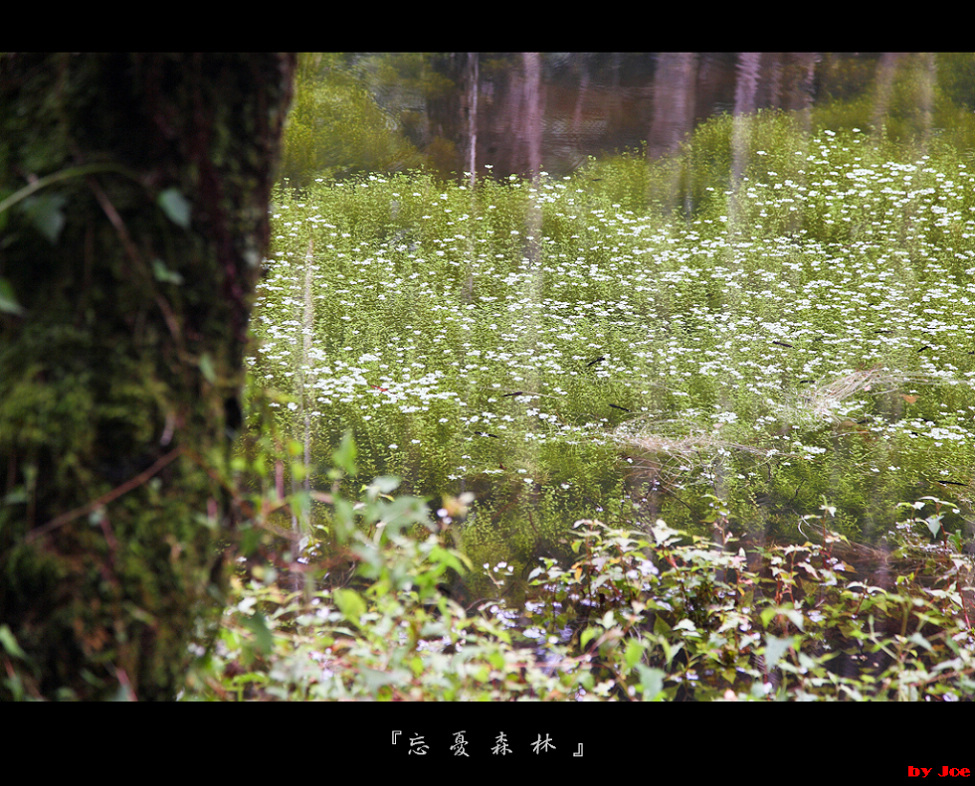 http://i.dcview.tw/gallery/201009/60e48434644d61e6412e249e000d3e9a.jpg