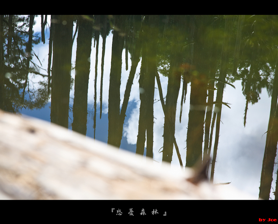 http://i.dcview.tw/gallery/201009/6fa10bcea88c1688892ea753ce28abe4.jpg