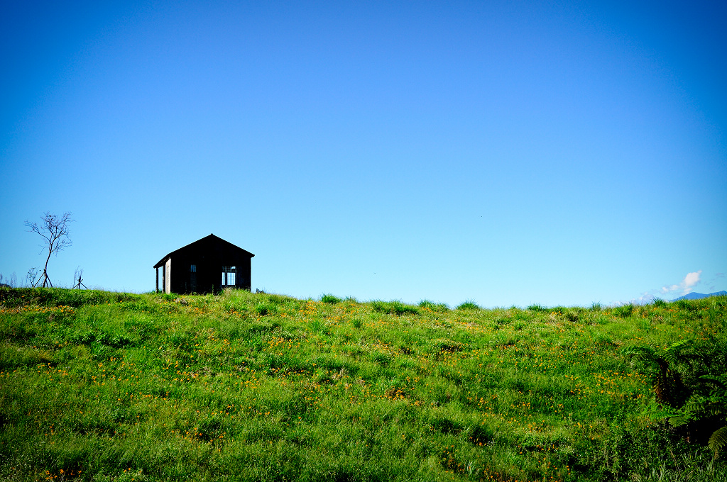 http://i.dcview.tw/gallery/201009/7c2eeada2a54b5e123b2c0956e53a92c.jpg