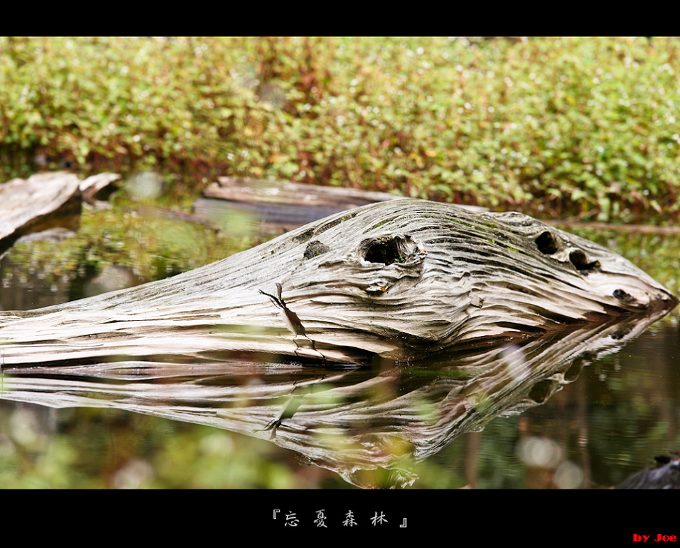 http://i.dcview.tw/gallery/201009/8f3b94faf292f5ea361bf643648b66f7.jpg
