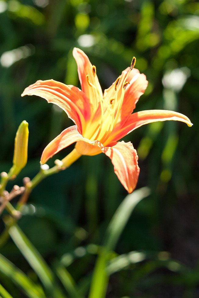 http://i.dcview.tw/gallery/201009/9212557ec37211cd3226591028e90f3b.jpg