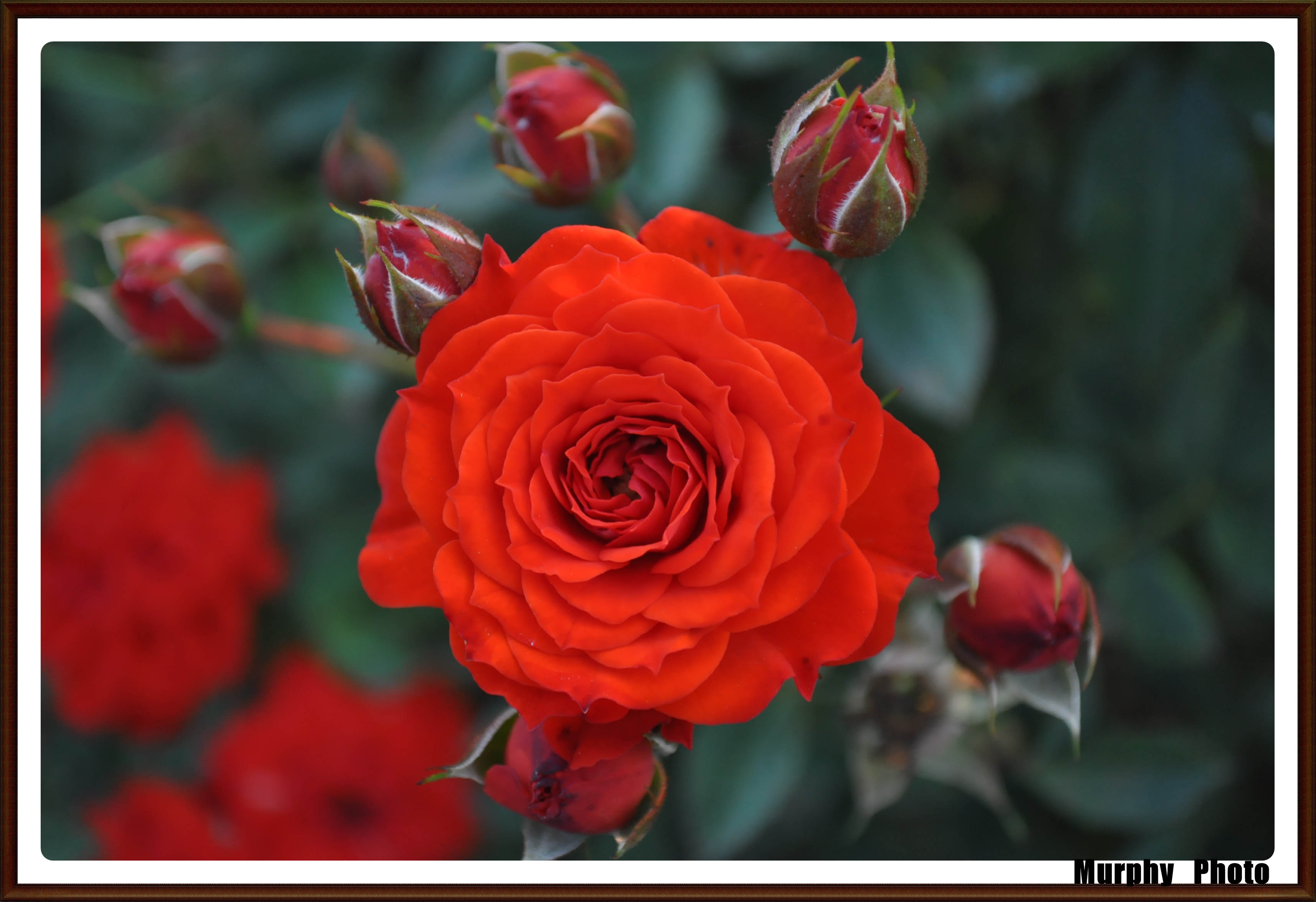 http://i.dcview.tw/gallery/201009/a6c6a76b3801d3992c5b5c27d2539ab2.jpg