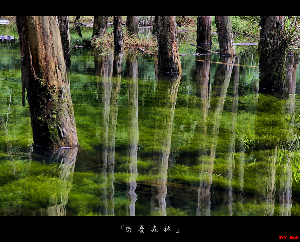 http://i.dcview.tw/gallery/201009/a959052e4053d4545e6801d07285c221.jpg