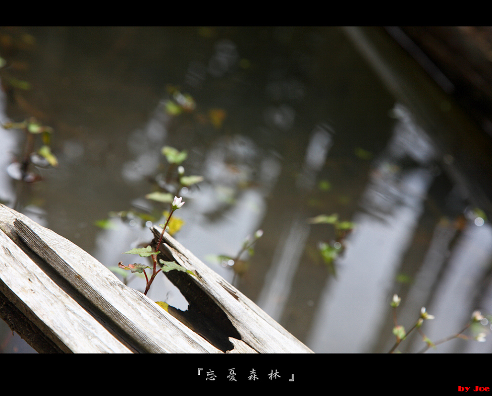http://i.dcview.tw/gallery/201009/dd3da8666c5f0dff54eac02292d7c456.jpg