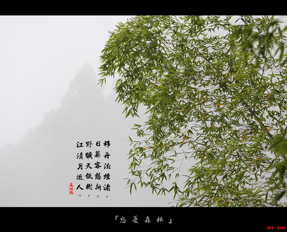 http://i.dcview.tw/gallery/201009/fc4941f195baf2ae30eac4182cdca27b.jpg