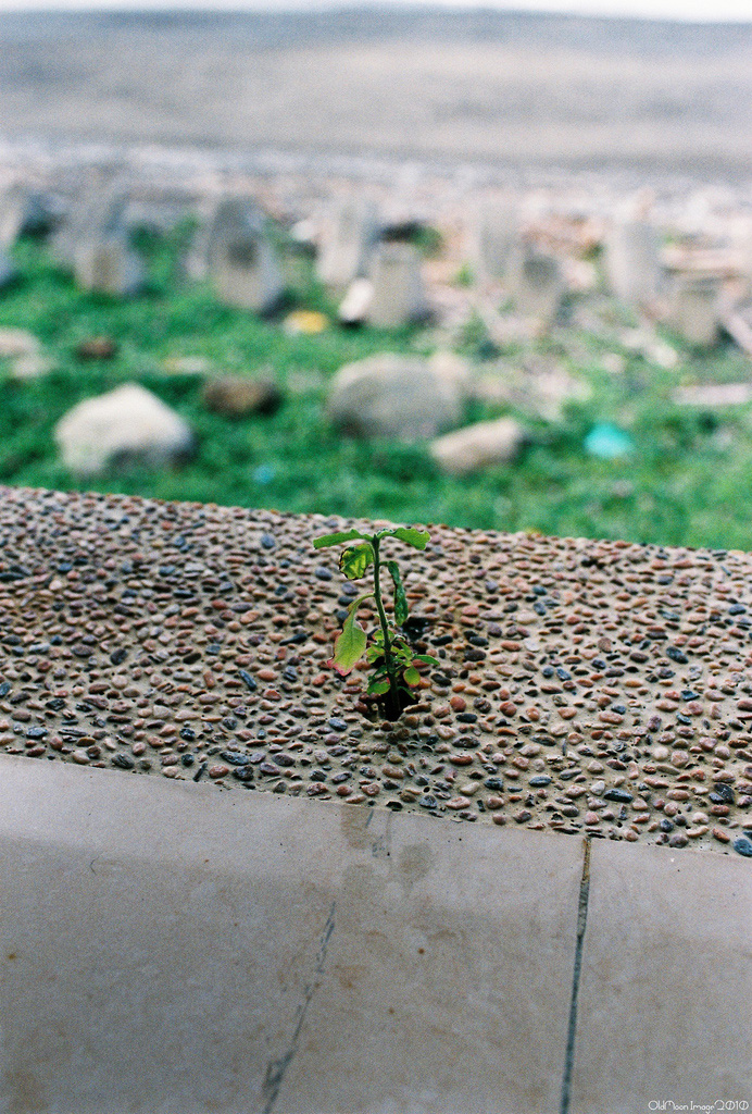 http://i.dcview.tw/gallery/201010/1327d94ea8f438c3b715a989f7cd37c8.jpg