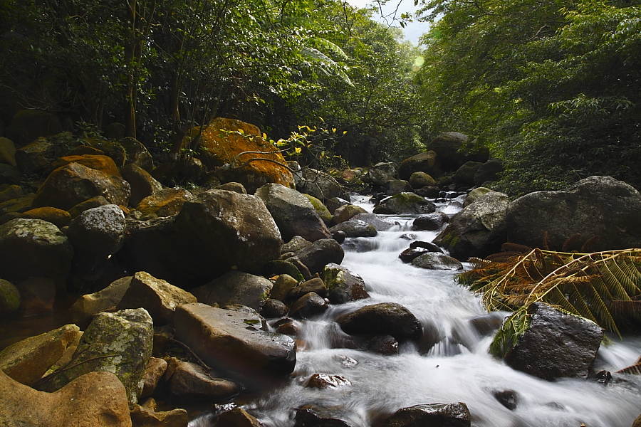 http://i.dcview.tw/gallery/201010/14e107dce7f51c41f5506ed8dbe35829.jpg