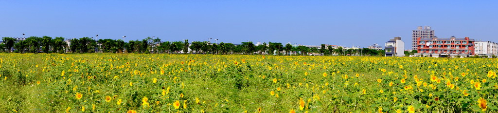 http://i.dcview.tw/gallery/201010/1796d195c44b232b4fb3b4a0628263fa.jpg