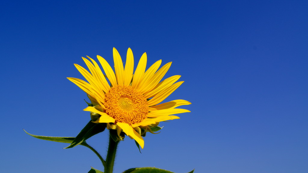 http://i.dcview.tw/gallery/201010/242a75a8e92989d98550c720d92cdcdf.jpg
