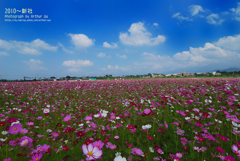 http://i.dcview.tw/gallery/201010/2eda7cbc564c06d08d30a491db9f6390.jpg