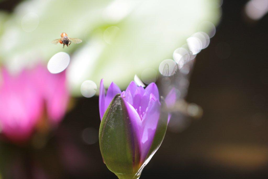 http://i.dcview.tw/gallery/201010/354b34be94ec5a1ea427968a9efcbd39.jpg