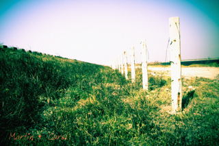 http://i.dcview.tw/gallery/201010/3a4c3fd0a61ad3683838a351b992735c.jpg
