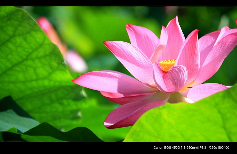 http://i.dcview.tw/gallery/201010/3c61bdea74bef1b8fad03864b7d4cdc6.jpg