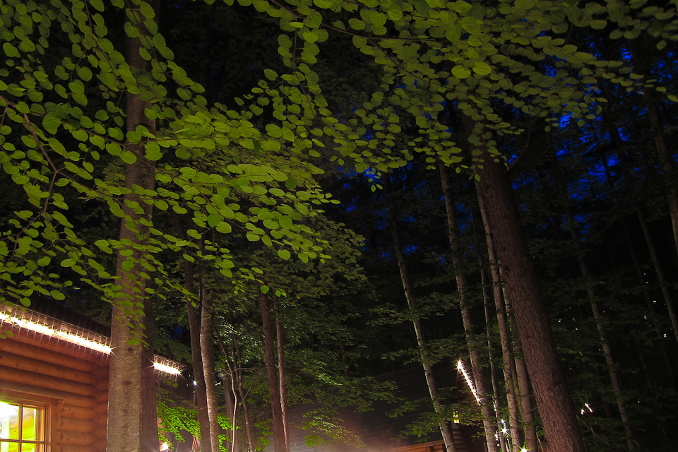 http://i.dcview.tw/gallery/201010/42266b1d5dc7888269c99705f393112a.jpg