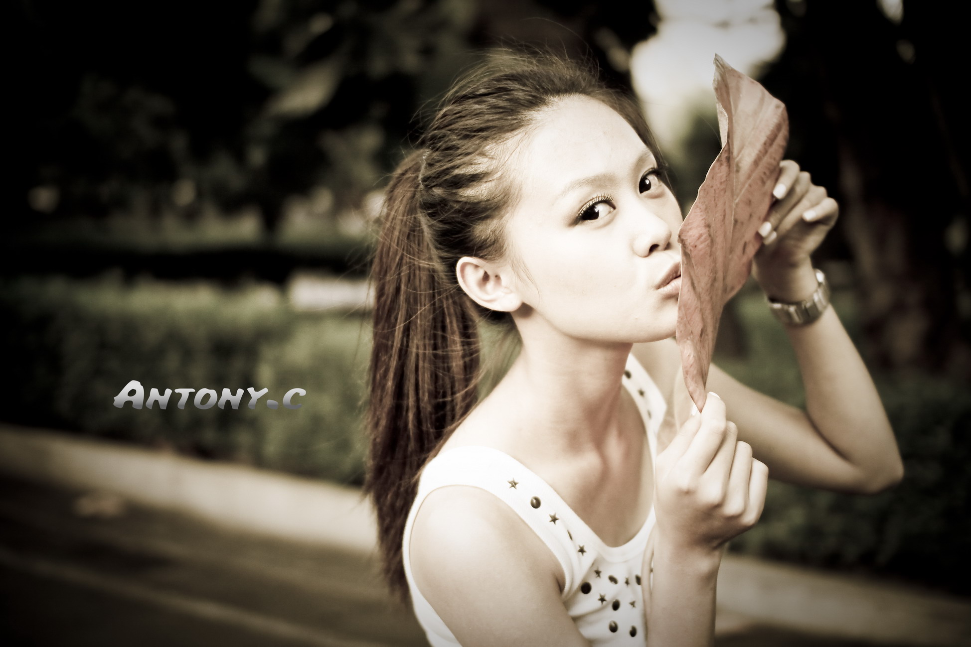 http://i.dcview.tw/gallery/201010/45cb40eea1a87708997c70cdb4fe968d.jpg