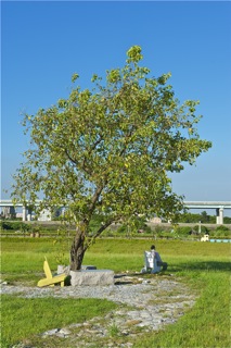 http://i.dcview.tw/gallery/201010/4944dae2f616c10ce1638c73c3cdef56.jpg