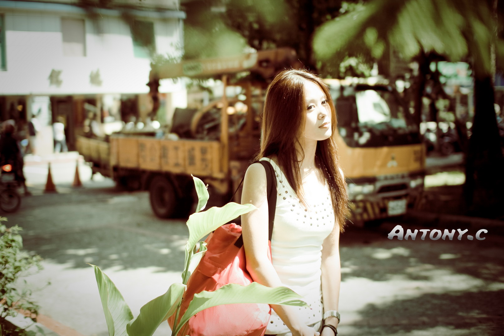 http://i.dcview.tw/gallery/201010/4e7261c2418557cd04ce51505da0649f.jpg