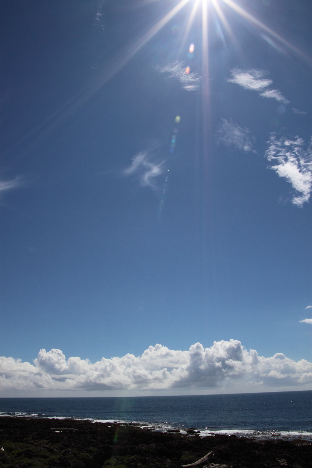 http://i.dcview.tw/gallery/201010/567acda7af90ac75b75b6125299c9f1e.jpg