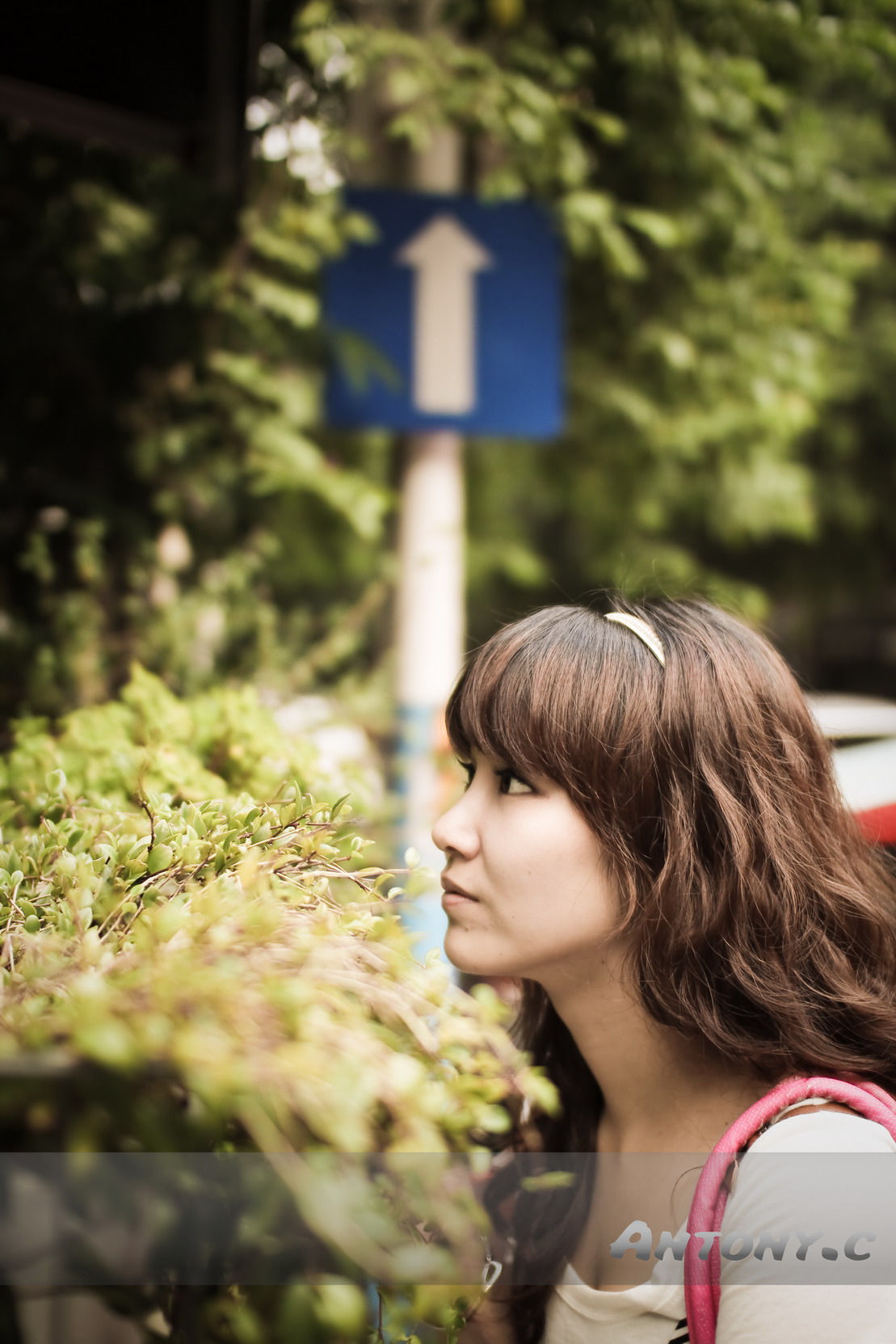 http://i.dcview.tw/gallery/201010/665f575a0d960e0be87037e540bd9011.jpg