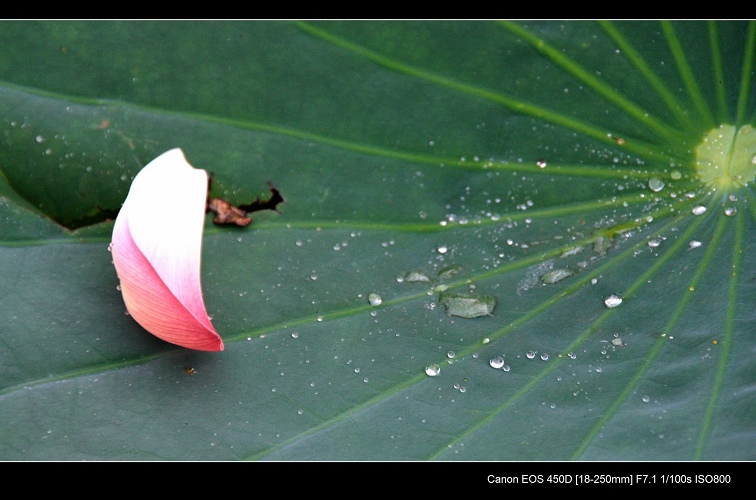http://i.dcview.tw/gallery/201010/696730c941117845b707b0e0ffe95e9c.jpg