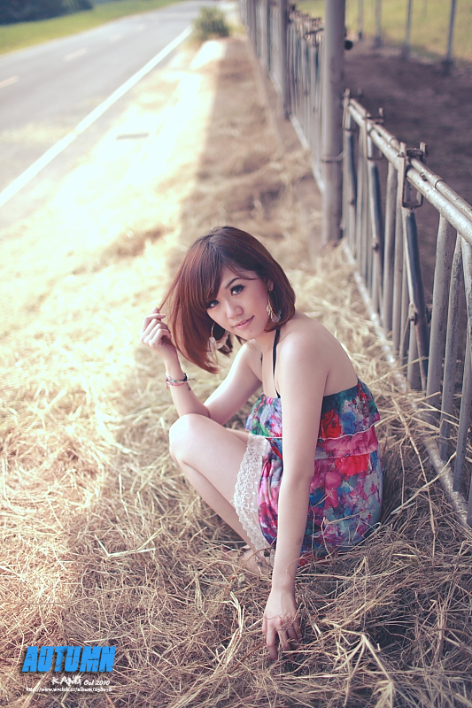 http://i.dcview.tw/gallery/201010/8a04aa64d2f83cce91fff247be7b2271.jpg