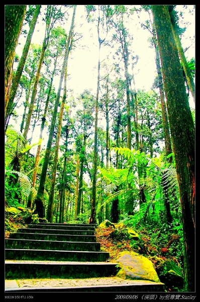 http://i.dcview.tw/gallery/201010/9cf6a891b421aa4cc81a576ad6c57be6.jpg