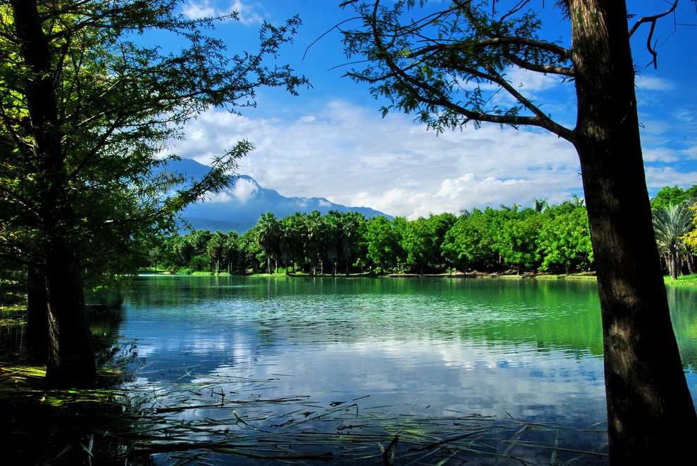http://i.dcview.tw/gallery/201010/ae28cf6d309c53e5d05a656dca3b4c4a.jpg